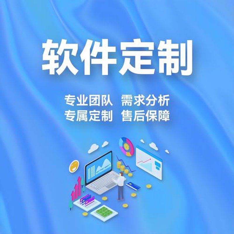 软件定制开发,构建企业专属数字生态